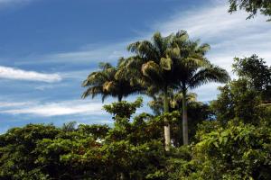 Ilha Grande 2010_406r.jpg